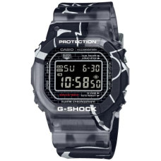 DW-5000SS-1ER