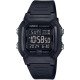 W-800H-1BVES