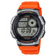 AE-1000W-4B